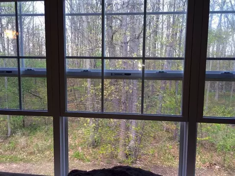 47604 Ormskirk, Canton, MI 48188 photo 5