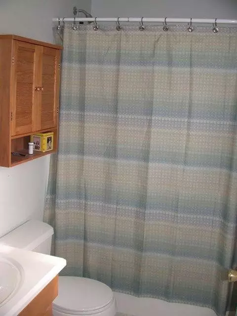 160 Wallace, Saline, MI 48176 photo 13