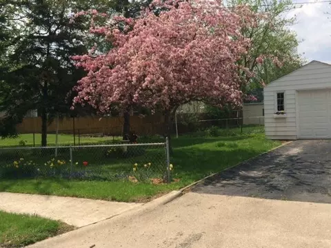 302 Chippewa, Tecumseh, MI 49286 photo 4