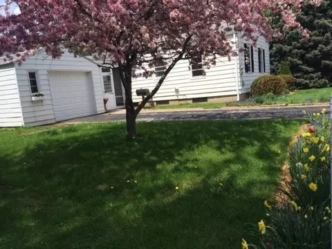 302 Chippewa, Tecumseh, MI 49286 photo 5