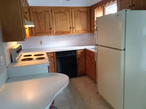 302 Chippewa, Tecumseh, MI 49286 photo 8