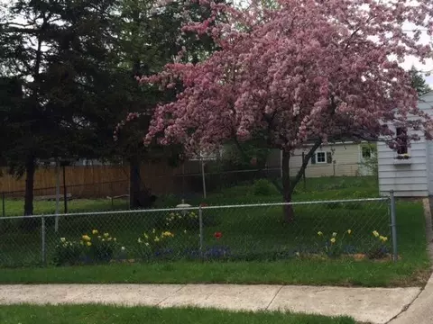 302 Chippewa, Tecumseh, MI 49286 photo 2