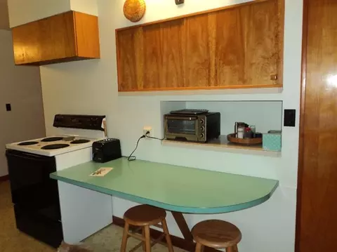 3747 E Joy Rd, Ann Arbor, MI 48105 photo 8