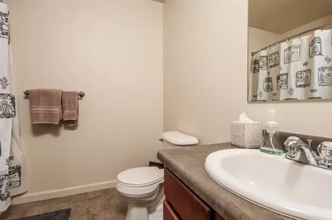 8115 Gingko Way, Dexter, MI 48130 photo 21