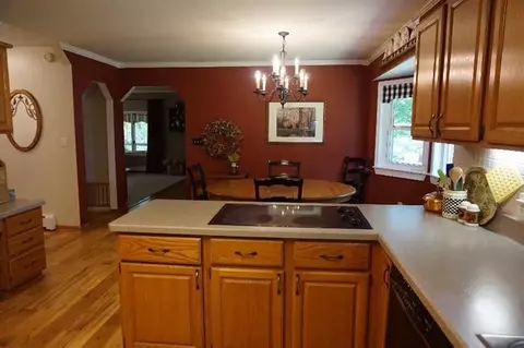 11122 Connell Dr, Dexter, MI 48130 photo 13