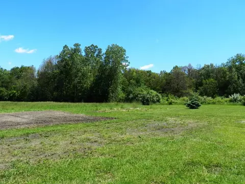 9770 Grames, Maybee, MI 48159 photo 58