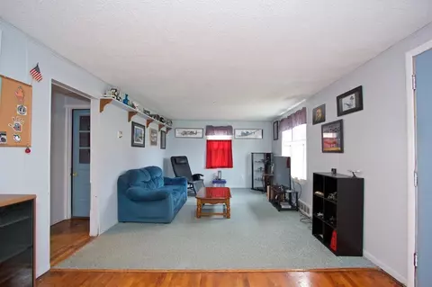 207 S Occidental Hwy, Tecumseh, MI 49286 photo 38