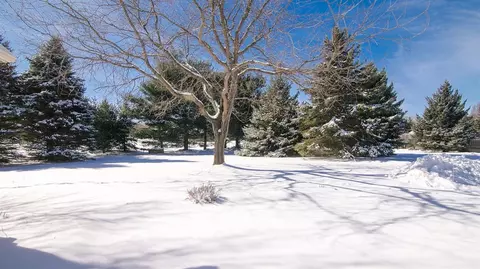 2745 Bent Tree Dr, Dexter, MI 48130 photo 6