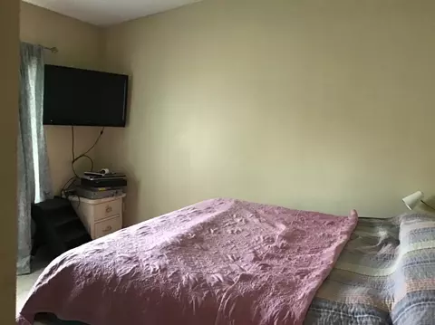 28839 Leroy St, Romulus, MI 48174 photo 17