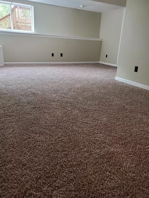 1248 W David Kempf Ct, Saline, MI 48176 photo 24