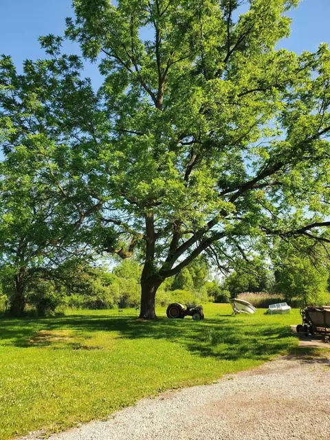9340 Liss Rd, Willis, MI 48191 photo 12