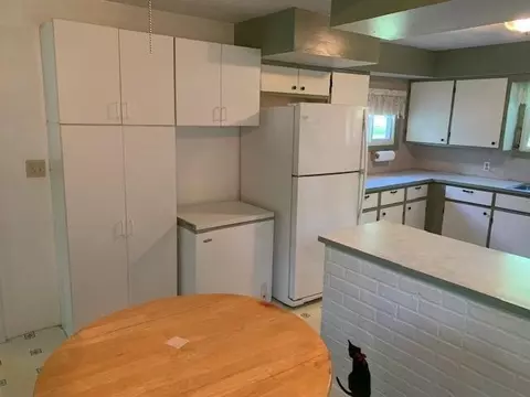 230 Stockbridge St, Gregory, MI 48137 photo 9