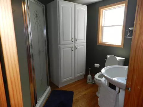 5580 Rays Dr, Onsted, MI 49265 photo 3
