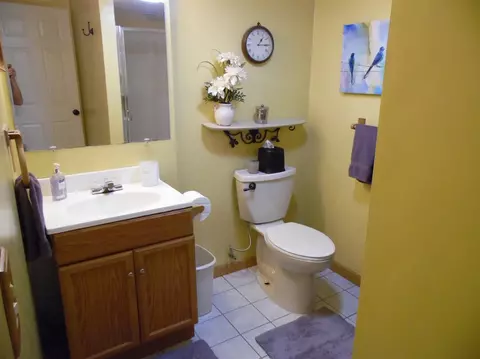 6460 Robison Ln, Saline, MI 48176 photo 64