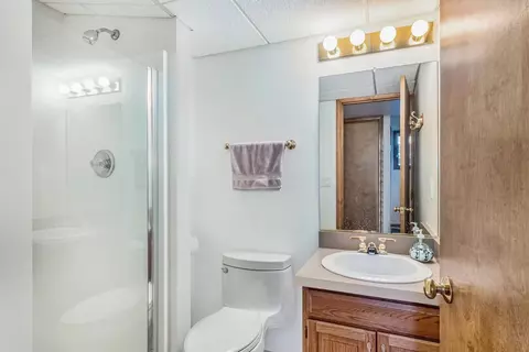 6540 Robison Ln, Saline, MI 48176 photo 30