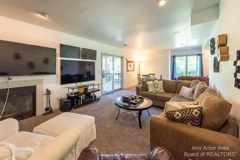 6307 Hellner Rd, Ann Arbor, MI 48105 photo 49