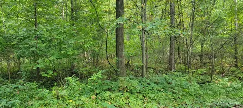 4703 W Jacobs Rd, Perry, MI 48872 photo 53