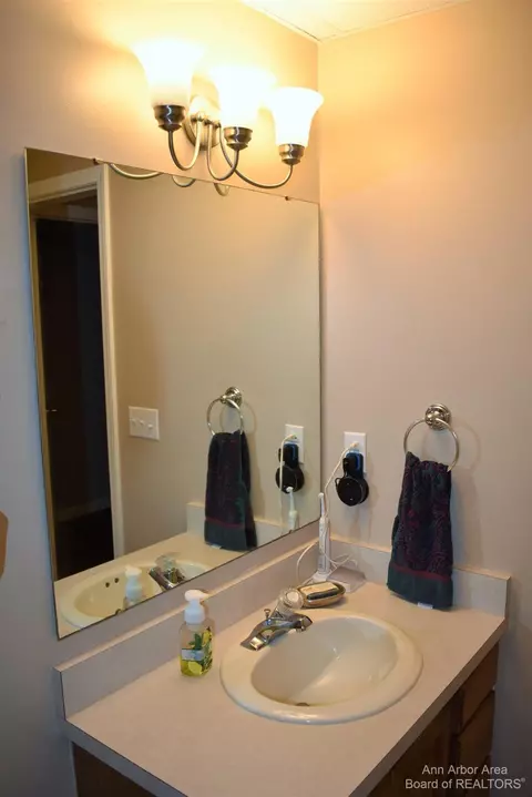 900 Burt, Tecumseh, MI 49286 photo 40