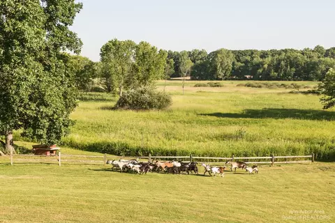 2954 N Dancer Rd, Dexter, MI 48130 photo 35
