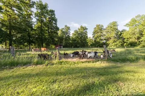 2954 N Dancer Rd, Dexter, MI 48130 photo 66