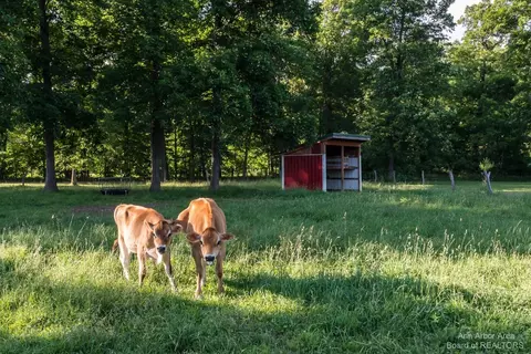 2954 N Dancer Rd, Dexter, MI 48130 photo 67