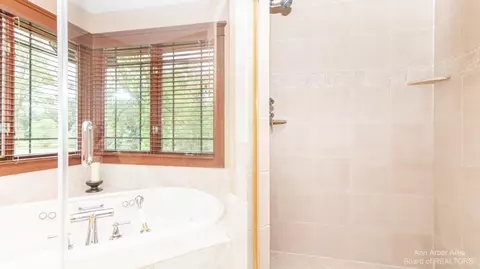 7300 Webster Station Dr, Dexter, MI 48130 photo 44