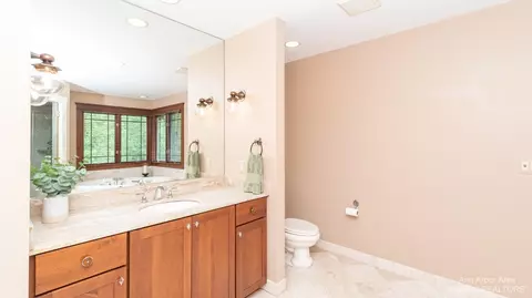 7300 Webster Station Dr, Dexter, MI 48130 photo 41
