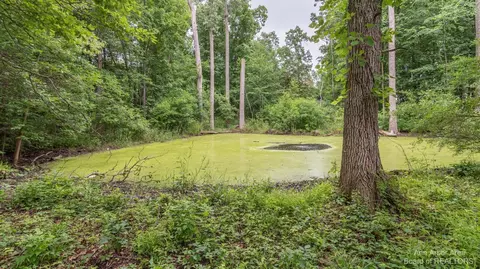 7300 Webster Station Dr, Dexter, MI 48130 photo 75