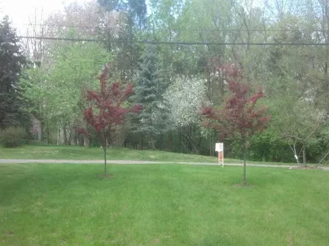 301 Ridgeway, Jackson, MI 49202 photo 21
