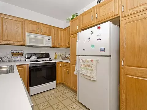 9720 Moon Rd, Saline, MI 48176 photo 28