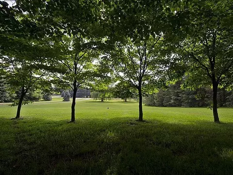 9720 Moon Rd, Saline, MI 48176 photo 20