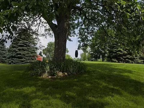 9720 Moon Rd, Saline, MI 48176 photo 18