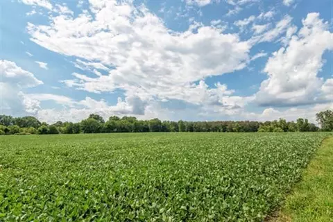 2791 N Dancer, Dexter, MI 48130 photo 39