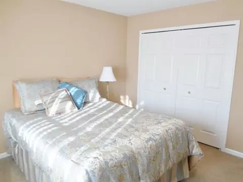 542 Ridge Pt, Dundee, MI 48131 photo 23