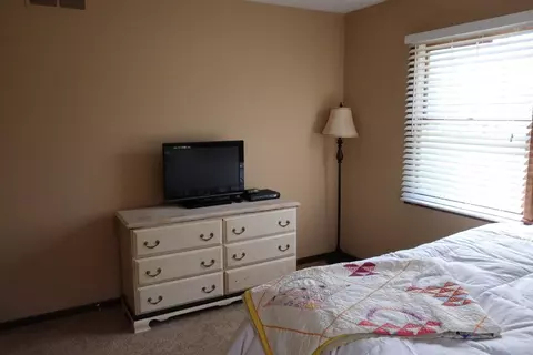 4204 Dillingham Dr, Tecumseh, MI 49286 photo 23