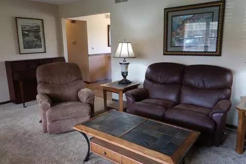 4204 Dillingham Dr, Tecumseh, MI 49286 photo 15