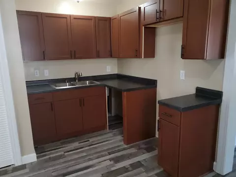 118 Clarence St, Belleville, MI 48111 photo 6