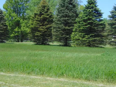 13774 Unadilla Rd, Gregory, MI 48137 photo 3