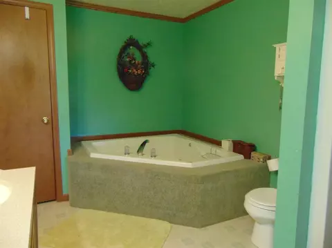 13774 Unadilla Rd, Gregory, MI 48137 photo 17