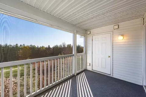 1237 Joyce Ln, Ann Arbor, MI 48103 photo 28