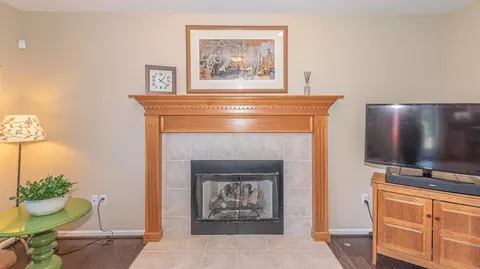 262 Wild Rose Ct, Ann Arbor, MI 48103 photo 30