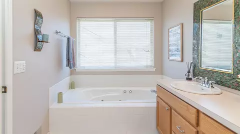 262 Wild Rose Ct, Ann Arbor, MI 48103 photo 43