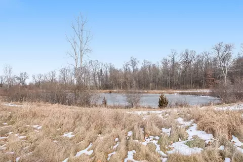 6708 Ralaric Dr, Dexter, MI 48130 photo 42
