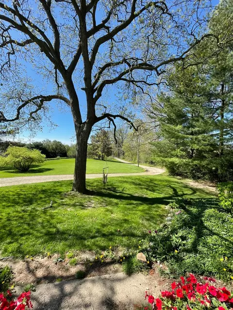 10110 Fleming, Dexter, MI 48130 photo 22