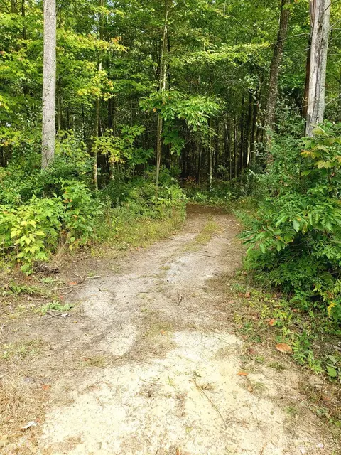9504 Tuttlehill Rd, Maybee, MI 48159 photo 60