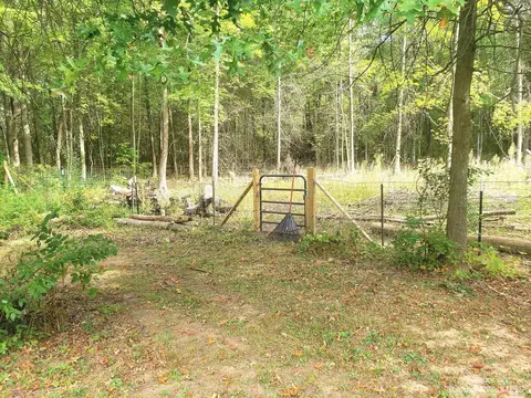 9504 Tuttlehill Rd, Maybee, MI 48159 photo 62