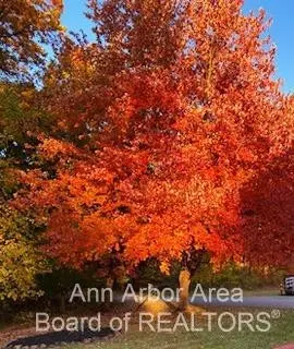 6860 W Huron River Dr, Dexter, MI 48130 photo 48