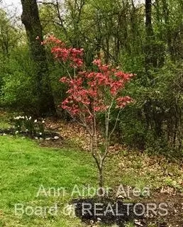 6860 W Huron River Dr, Dexter, MI 48130 photo 46