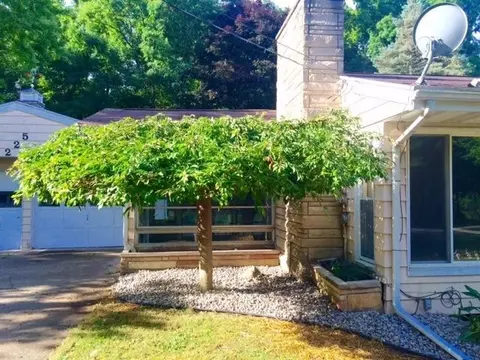 225 First St, Munith, MI 49259 photo 4
