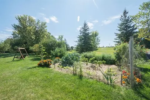 3580 Shaw Ct, Dexter, MI 48130 photo 28